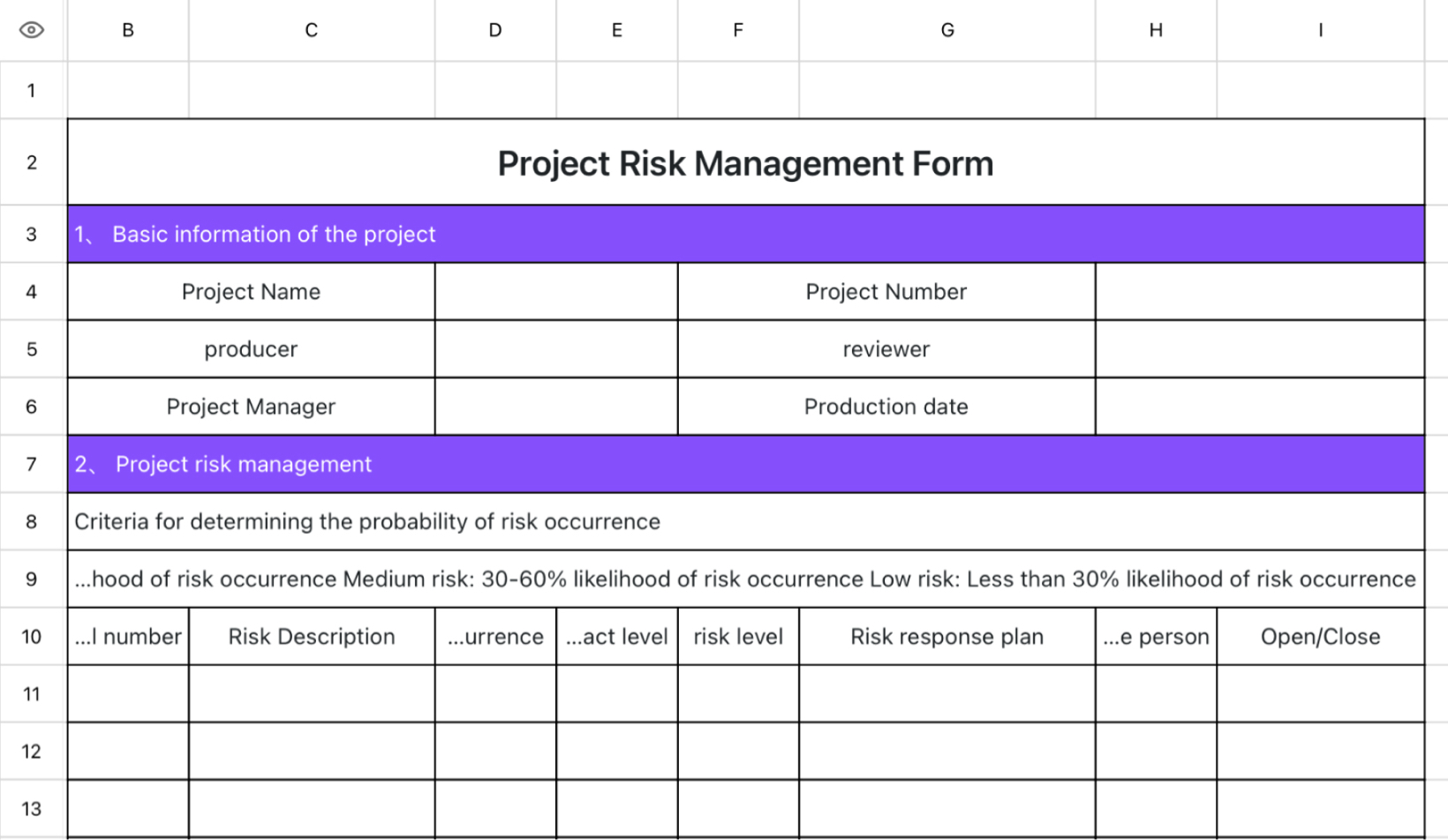 Project Risk Management Form
